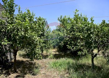 Giardino - Terreno agricolo Via Carico
 
183, Acireale - foto 7