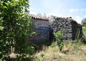 Giardino - Terreno agricolo Via Carico
 
183, Acireale - foto 8