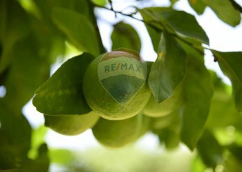 Dettagli - Terreno agricolo Via Carico
 
183, Acireale - foto 25