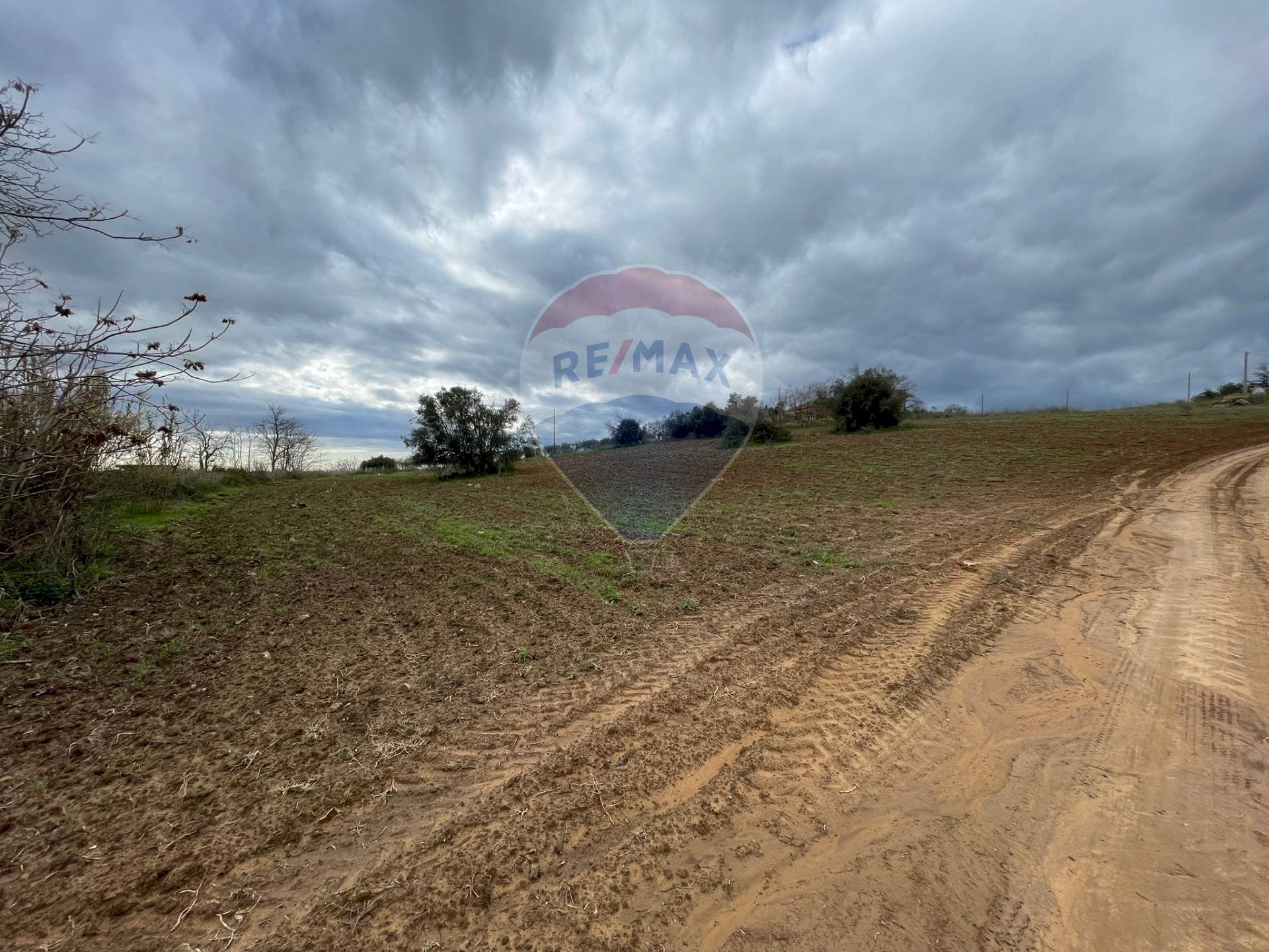 Non correlato - Agricultural land Contrada Piano Stella, SP.34
 
snc, Caltagirone - photo 2
