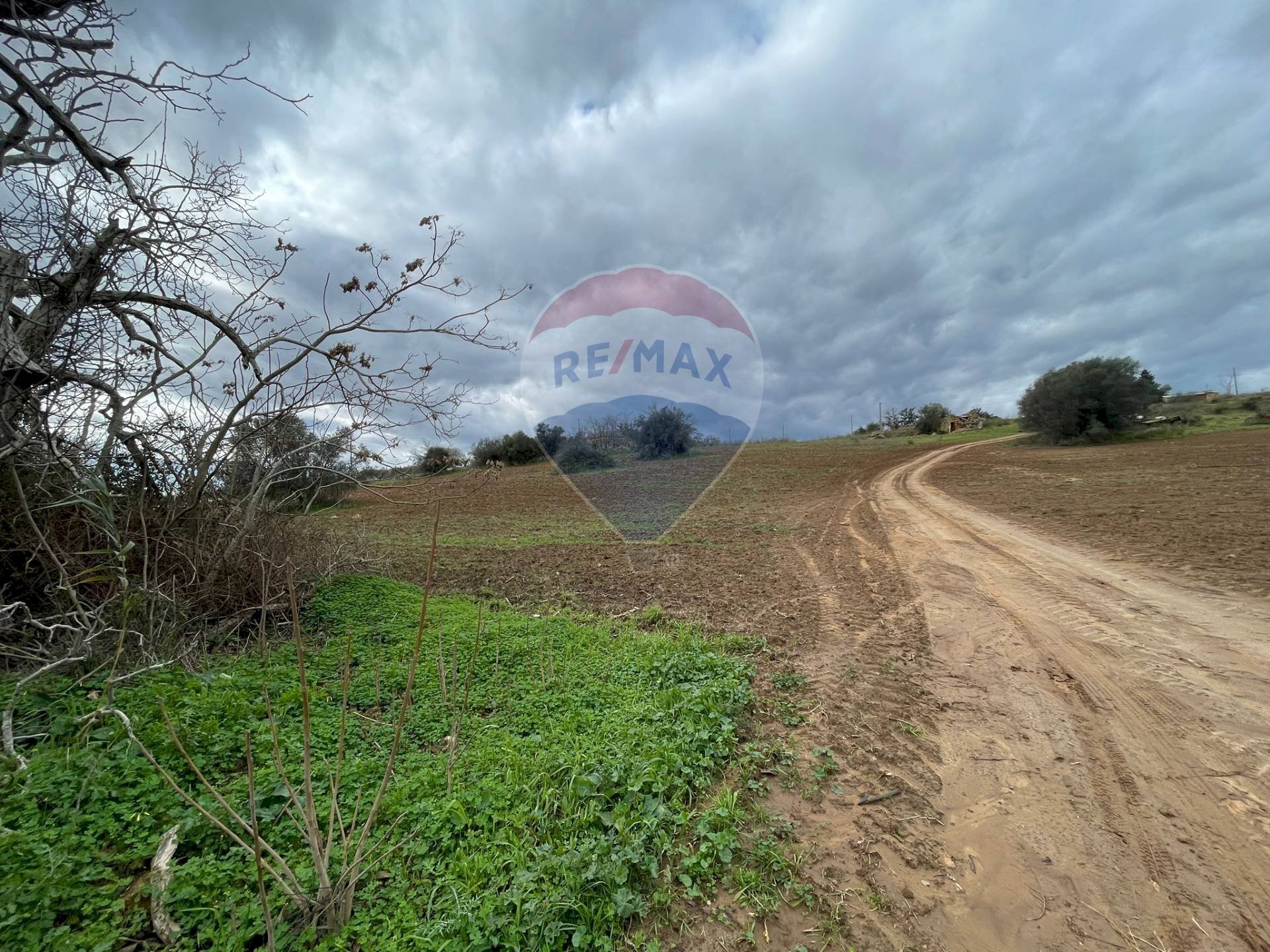 Giardino - Agricultural land Contrada Piano Stella, SP.34
 
snc, Caltagirone - photo 3