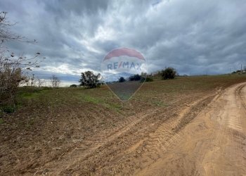 Non correlato - Terreno agricolo Contrada Piano Stella, SP.34
 
snc, Caltagirone - foto 2