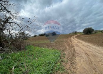 Giardino - Terreno agricolo Contrada Piano Stella, SP.34
 
snc, Caltagirone - foto 3