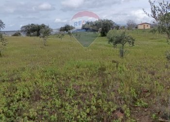 Giardino - Terreno agricolo Contrada Piano Stella, SP.34
 
snc, Caltagirone - foto 6