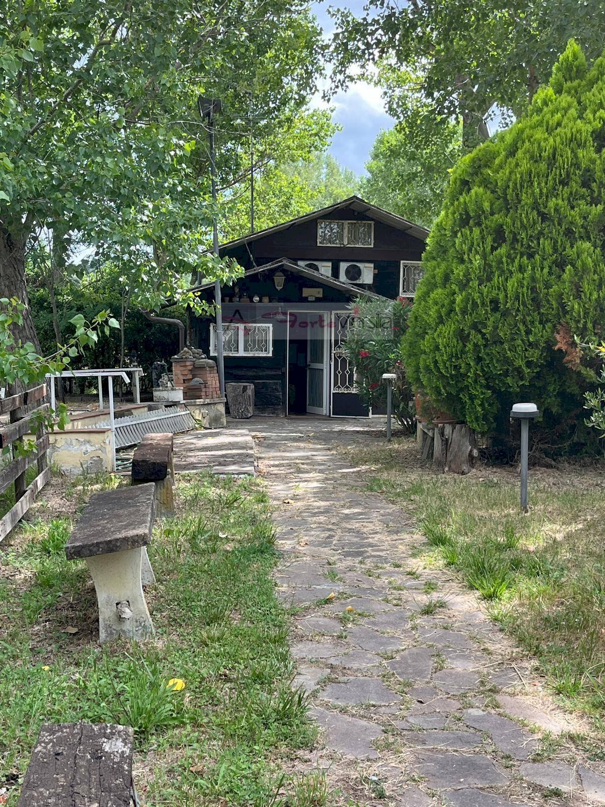 Foto 3 - Terreno agricolo Vinci - foto 3