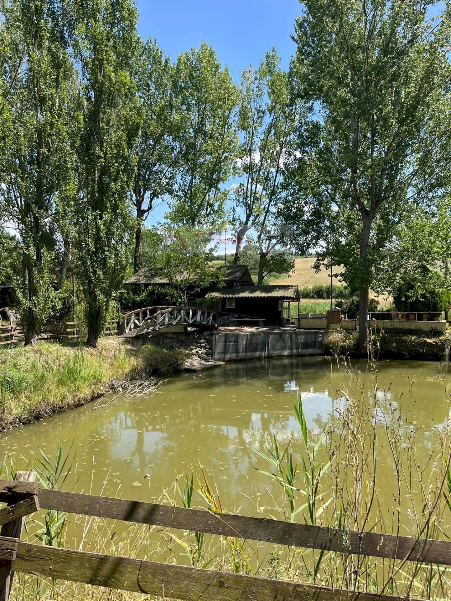 Foto 1 - Terreno agricolo Vinci - foto 1