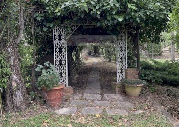 Foto 5 - Terreno agricolo Vinci - foto 5