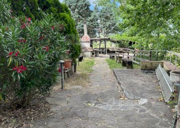 Foto 7 - Terreno agricolo Vinci - foto 7