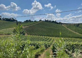 Foto 8 - Terreno agricolo Vinci - foto 8