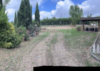 Foto 9 - Terreno agricolo Vinci - foto 9