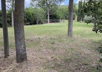 Foto 10 - Terreno agricolo Vinci - foto 10