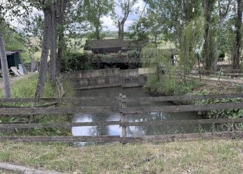 Foto 11 - Terreno agricolo Vinci - foto 11