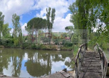 Foto 12 - Terreno agricolo Vinci - foto 12