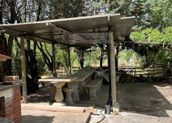 Foto 13 - Terreno agricolo Vinci - foto 13