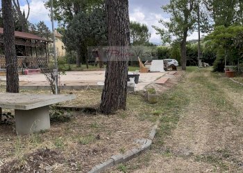 Foto 14 - Terreno agricolo Vinci - foto 14