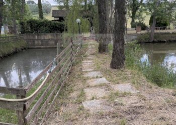 Foto 15 - Terreno agricolo Vinci - foto 15