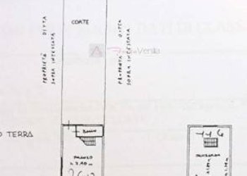 Foto 18 - Terreno agricolo Vinci - foto 18