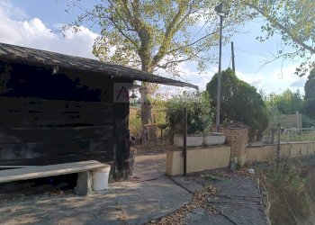 Foto 6 - Terreno agricolo Vinci - foto 6