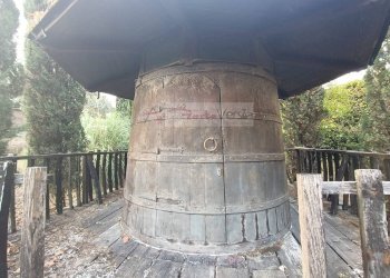 Foto 17 - Terreno agricolo Vinci - foto 17