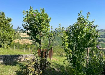 Foto 14 - Casa semi indipendente frazione Cortanieto, Montiglio Monferrato - foto 14