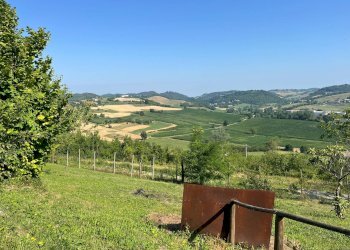 Foto 15 - Casa semi indipendente frazione Cortanieto, Montiglio Monferrato - foto 15