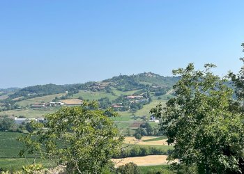 Foto 16 - Casa semi indipendente frazione Cortanieto, Montiglio Monferrato - foto 16