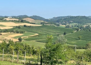 Foto 17 - Casa semi indipendente frazione Cortanieto, Montiglio Monferrato - foto 17