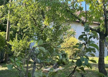 Foto 18 - Casa semi indipendente frazione Cortanieto, Montiglio Monferrato - foto 18