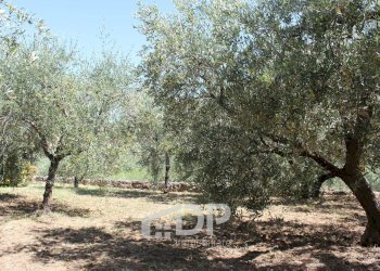 Foto 64 - Casa indipendente Via dell'Uliveto
 
18, Palombara Sabina - foto 64