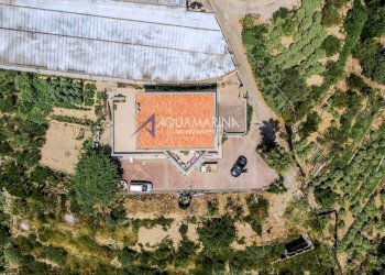 Foto 6 - Villa Bordighera - foto 6