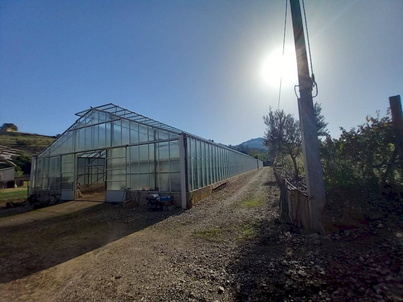 Foto 2 - Agricultural land Localita' sos ortos
 
SNC, Ozieri - photo 2