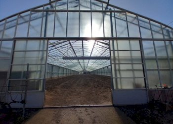 Foto 1 - Terreno agricolo Localita' sos ortos
SNC, Ozieri - foto 1