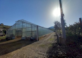 Foto 2 - Terreno agricolo Localita' sos ortos
SNC, Ozieri - foto 2