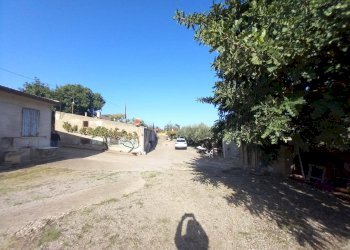 Foto 6 - Terreno agricolo Localita' sos ortos
SNC, Ozieri - foto 6