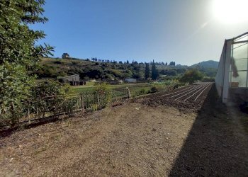 Foto 9 - Terreno agricolo Localita' sos ortos
SNC, Ozieri - foto 9