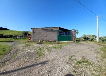 Foto 10 - Terreno agricolo Localita' sos ortos
SNC, Ozieri - foto 10