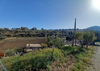 Foto 11 - Terreno agricolo Localita' sos ortos
SNC, Ozieri - foto 11