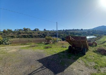 Foto 12 - Terreno agricolo Localita' sos ortos
SNC, Ozieri - foto 12