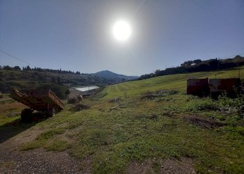 Foto 13 - Terreno agricolo Localita' sos ortos
SNC, Ozieri - foto 13