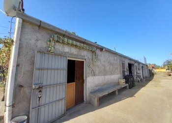 Foto 14 - Terreno agricolo Localita' sos ortos
SNC, Ozieri - foto 14