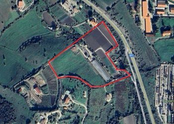 Foto 16 - Terreno agricolo Localita' sos ortos
SNC, Ozieri - foto 16