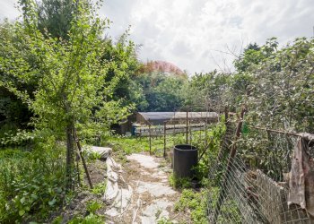 Giardino - Casa semi indipendente via gravè
 
4, Borgone Susa - foto 17