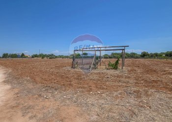 Non correlato - Casa indipendente Contrada Pellegrino
 
70, Santa Croce Camerina - foto 7