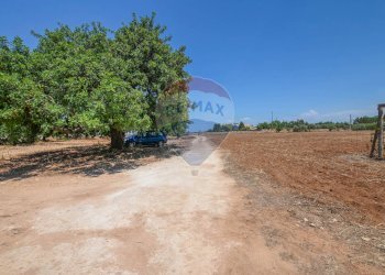 Non correlato - Casa indipendente Contrada Pellegrino
 
70, Santa Croce Camerina - foto 8