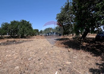 Giardino - Casa indipendente Contrada Pellegrino
 
70, Santa Croce Camerina - foto 9