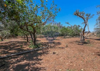 Giardino - Casa indipendente Contrada Pellegrino
 
70, Santa Croce Camerina - foto 28