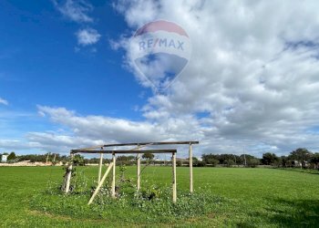 Giardino - Casa indipendente Contrada Pellegrino
 
70, Santa Croce Camerina - foto 37