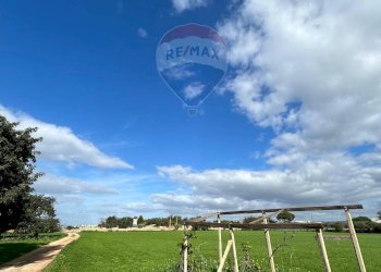 Giardino - Casa indipendente Contrada Pellegrino
 
70, Santa Croce Camerina - foto 38