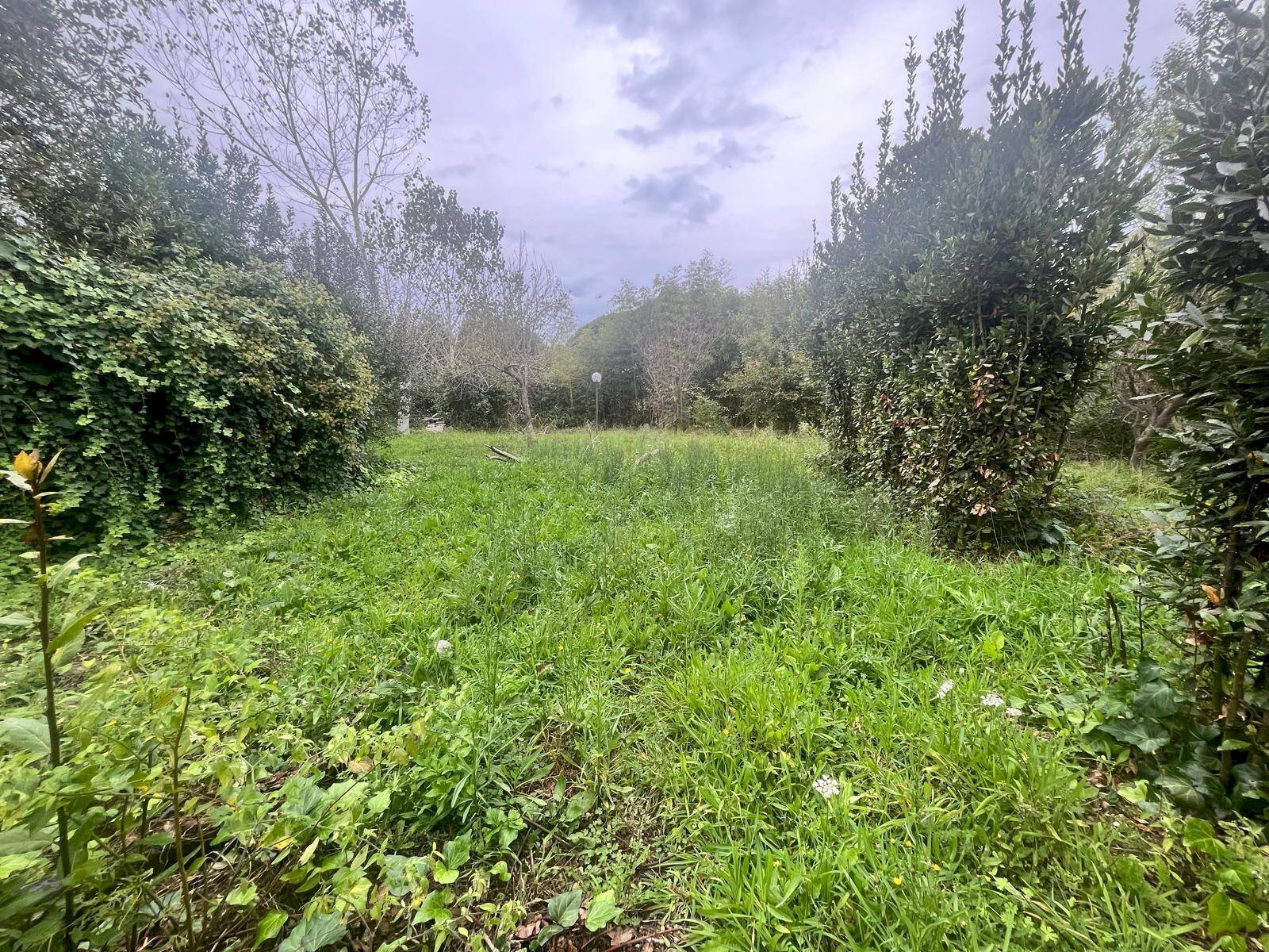 Foto 3 - Agricultural land Via Della Casa Rossa
2, Pisa - photo 3