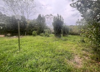 Foto 4 - Terreno agricolo Via Della Casa Rossa
 
2, Pisa - foto 4